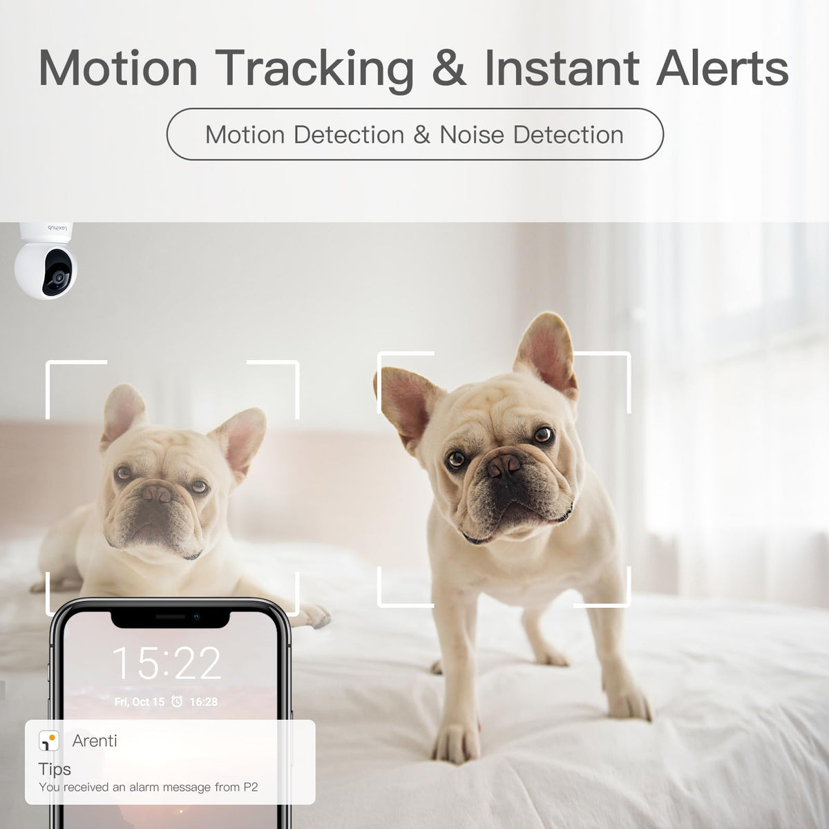 360° View 2K Pet Camera P2, 5G&2.4G Indoor Security Camera, Baby Monitor